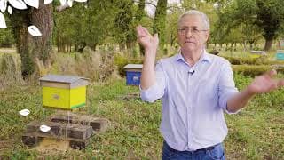 Eksempelbillede af video