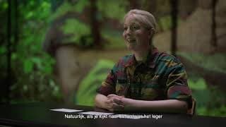 Arts bij Defensie