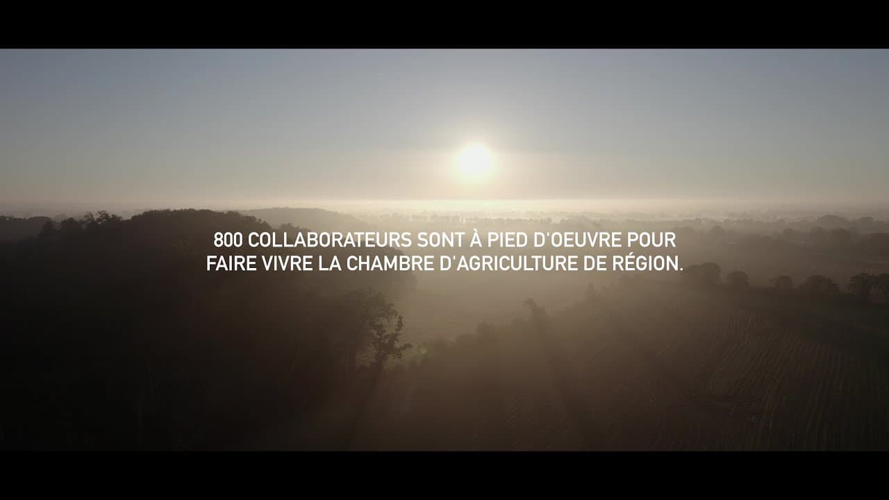 Image de prévisualisation de la vidéo