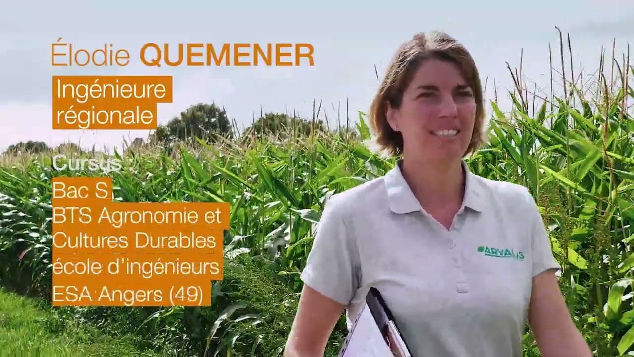 Image de prévisualisation de la vidéo