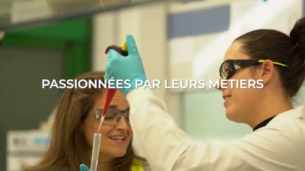 Tu veux travailler pour Lafarge, Avoue !