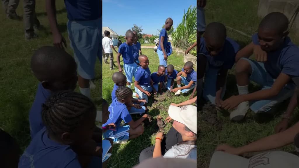 Tree planting 