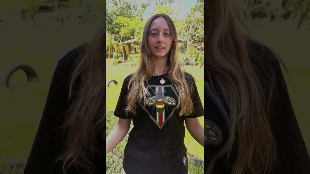 Image de prévisualisation de la vidéo