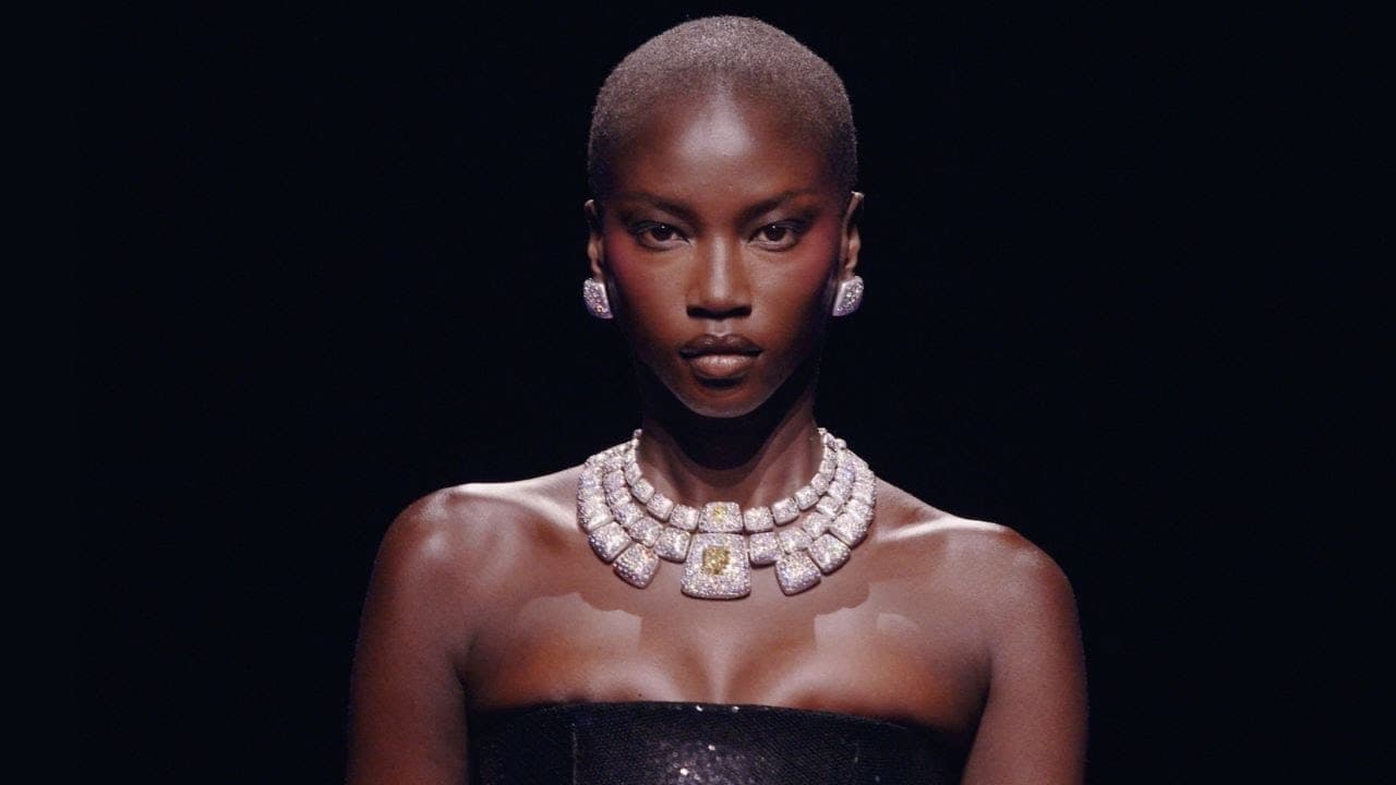 Image de prévisualisation de la vidéo