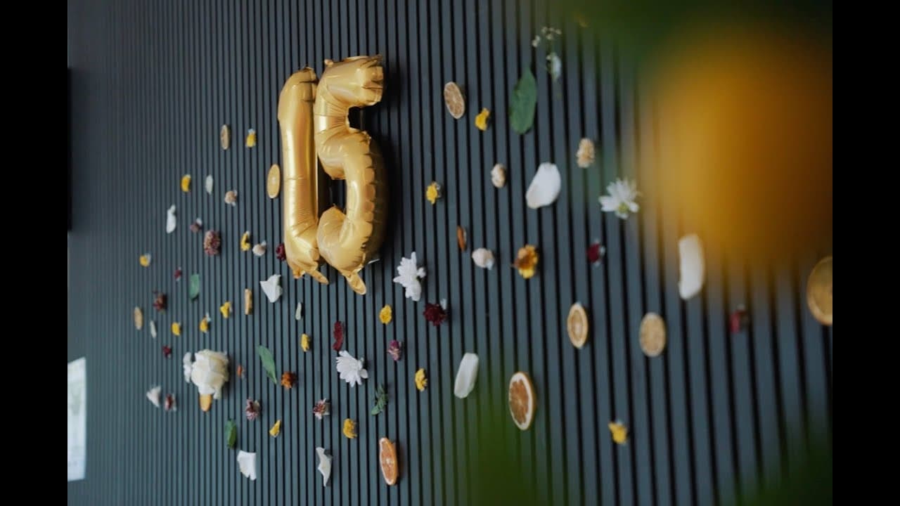 Video preview image