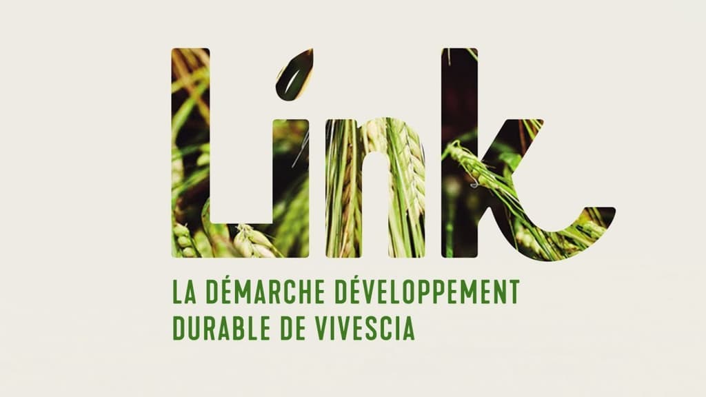 Venez découvrir Link, notre stratégie RSE pour relever les défis de demain !