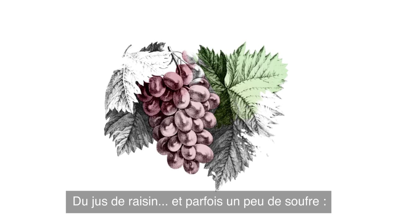 Image de prévisualisation de la vidéo