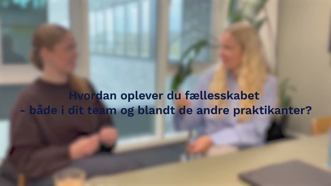 Eksempelbillede af video