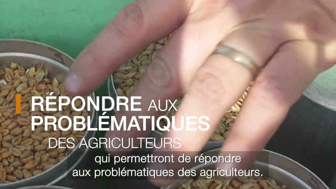 Image de prévisualisation de la vidéo