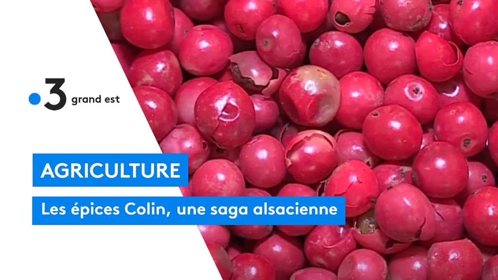  Histoire d'une success-story alsacienne.