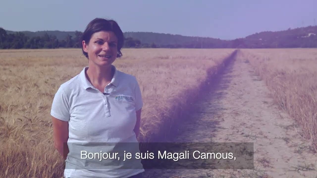 Image de prévisualisation de la vidéo