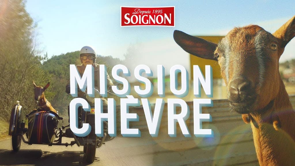 SOIGNON, notre marque emblématique ! 