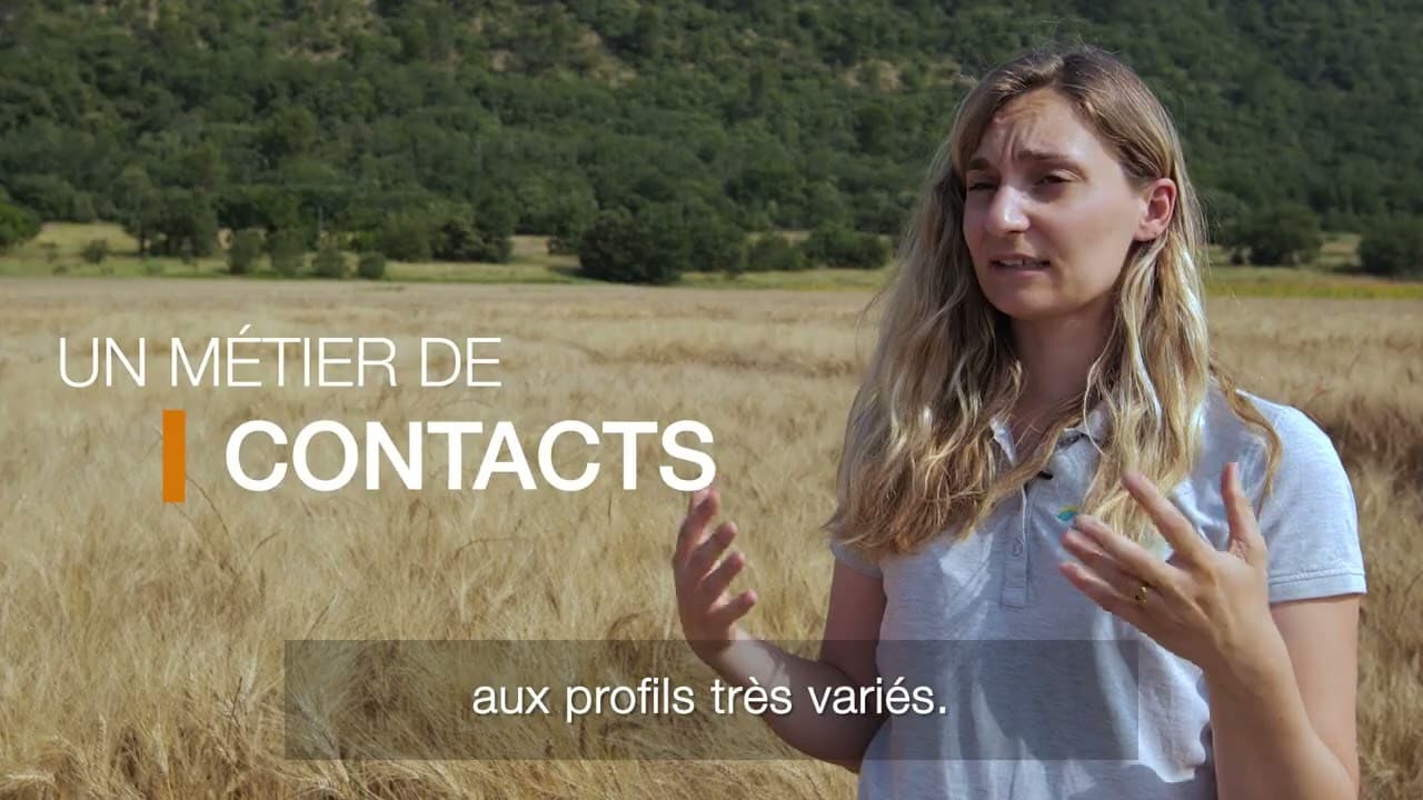 Image de prévisualisation de la vidéo