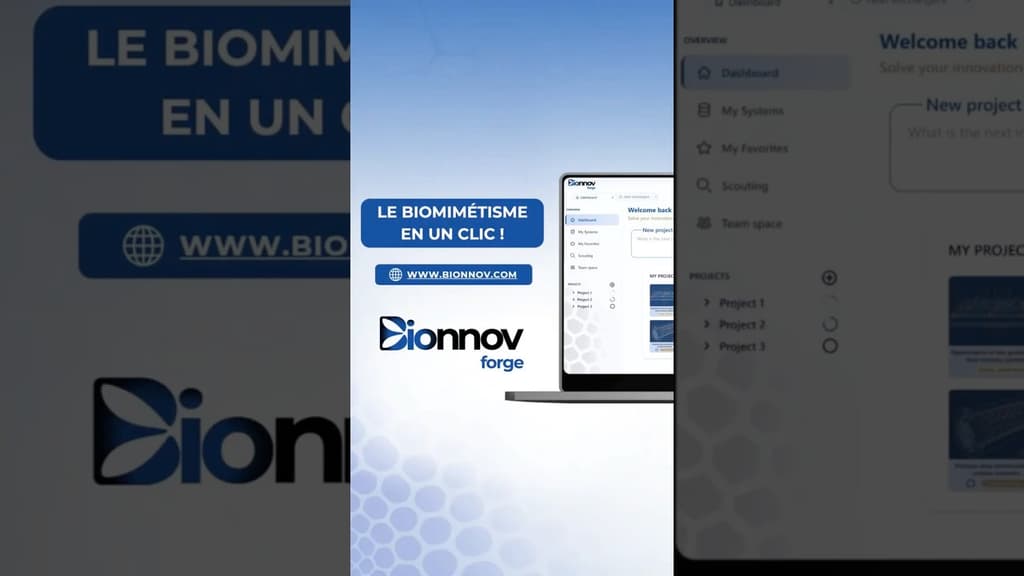 Découvrez Bionnov : notre nouveau logiciel dédié à la R&D biomimétique