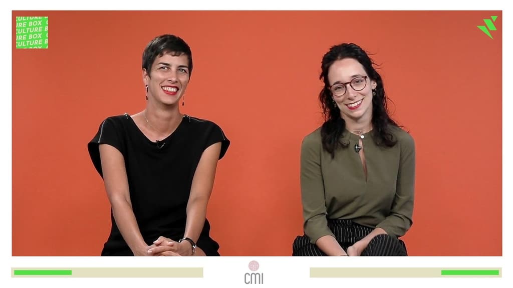 CMI vu par les CMIens