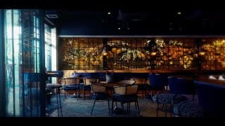 Image de prévisualisation de la vidéo