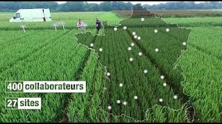 3 minutes pour découvrir Arvalis