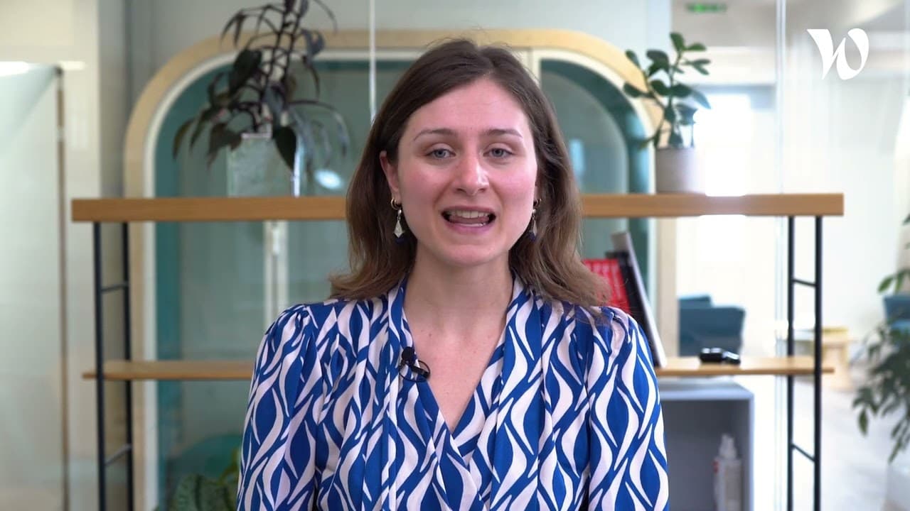 Video preview image