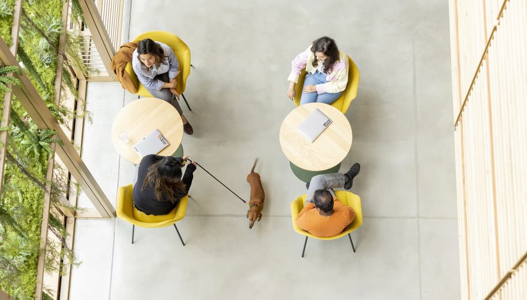 At Uber, there's room for every talent, and talent from everywhere.