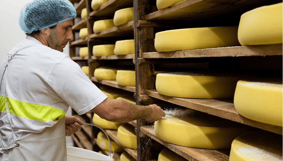 Nous perpétuons les savoir-faire laitiers pour offrir au consommateur le meilleur de nos terroirs