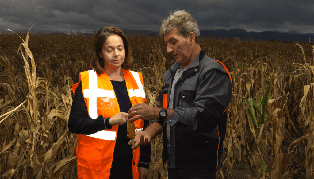 Production/Supply Chain - Travail de production agronomique dans les champs