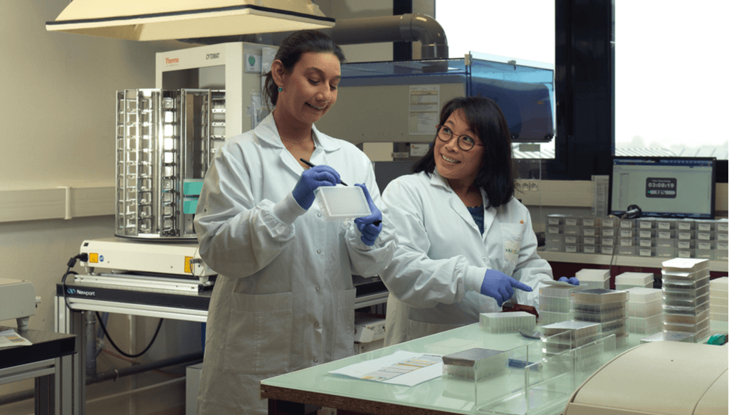 Recherche & Développement - Travail en laboratoire