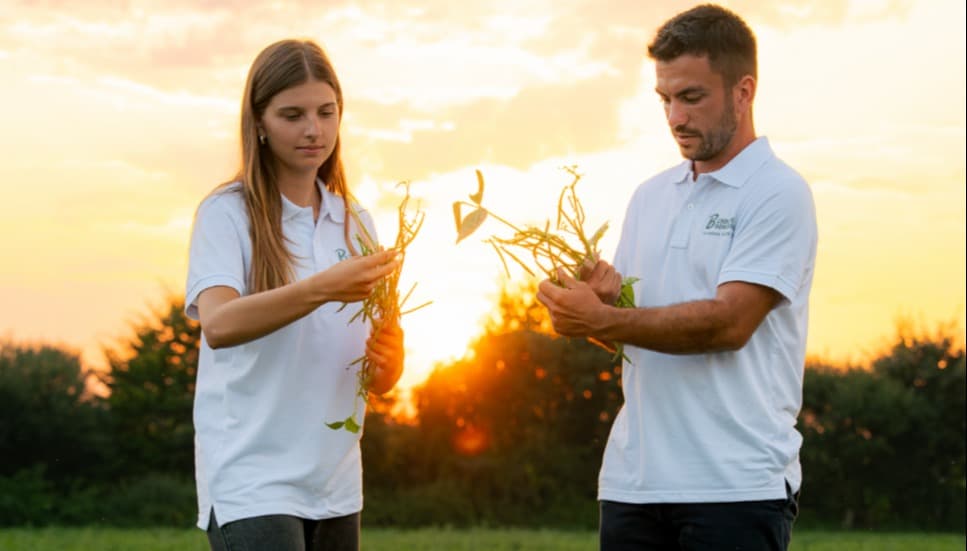 Agriculture et industrie