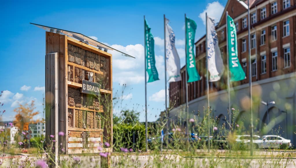 Insektenhotel, Aesculap