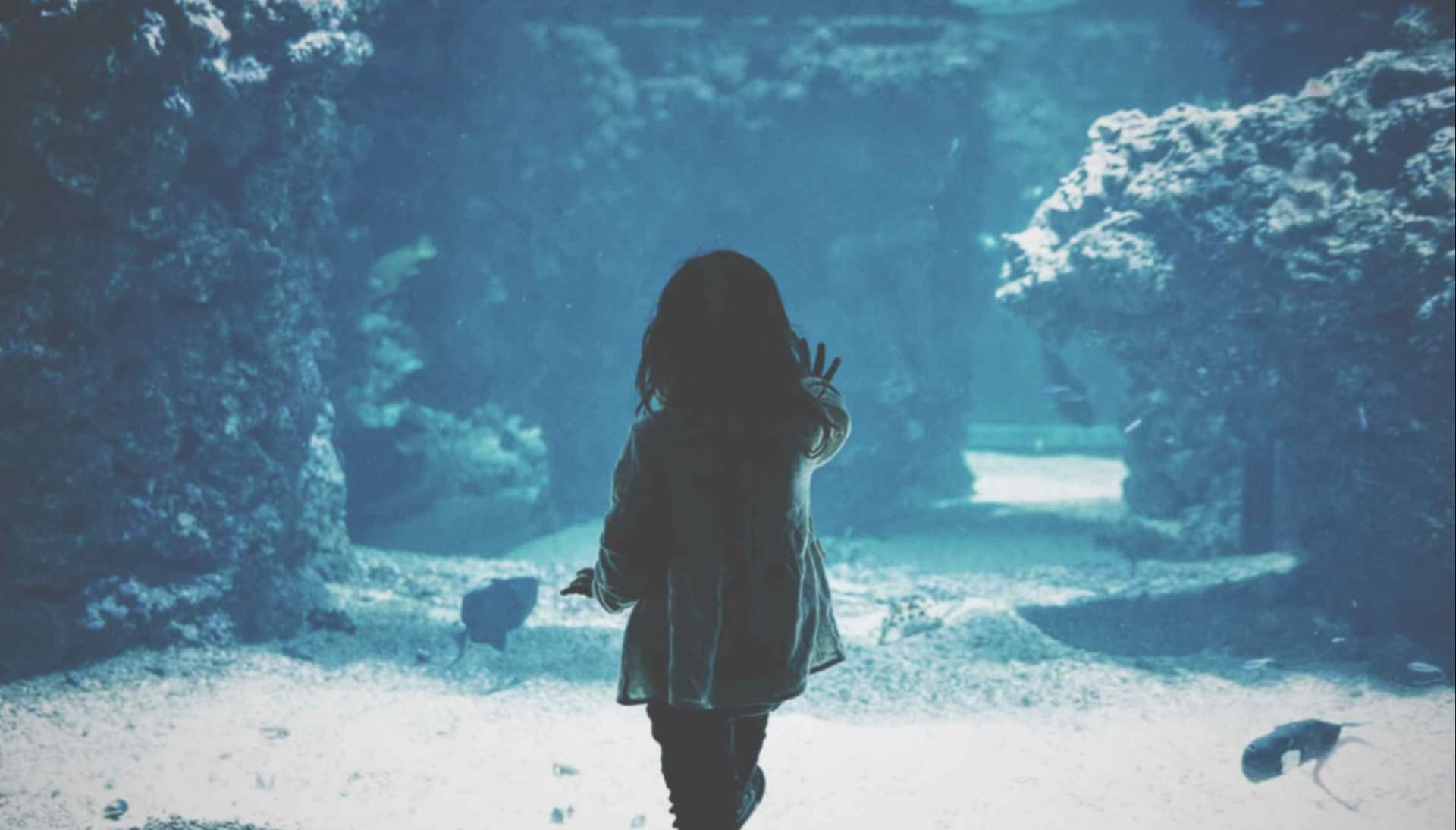 Join DWS and invest in your future.