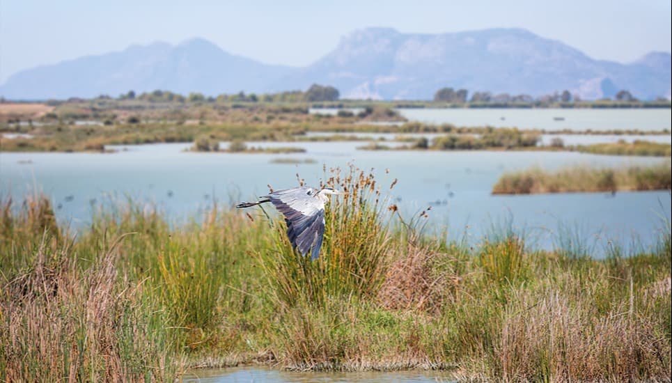 L'environnement et la Biodiversité