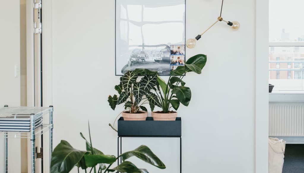 Interior design