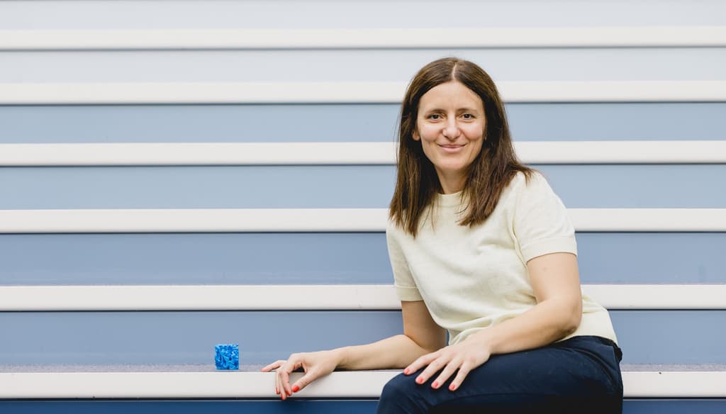 Hanne Falsig, Principal Scientist
