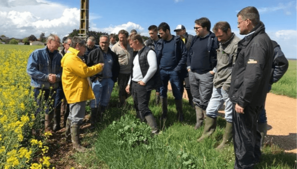 Formation au champ