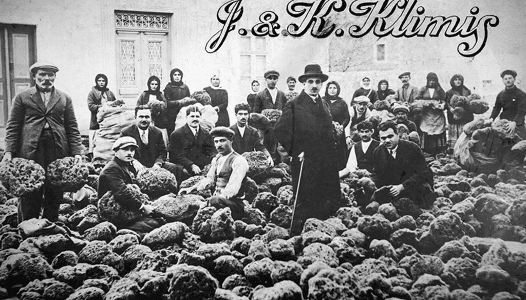 In 1898, the grandfather of the current owners of the company, arrives in Belgium where he decides to found, his workshop of sea sponges.