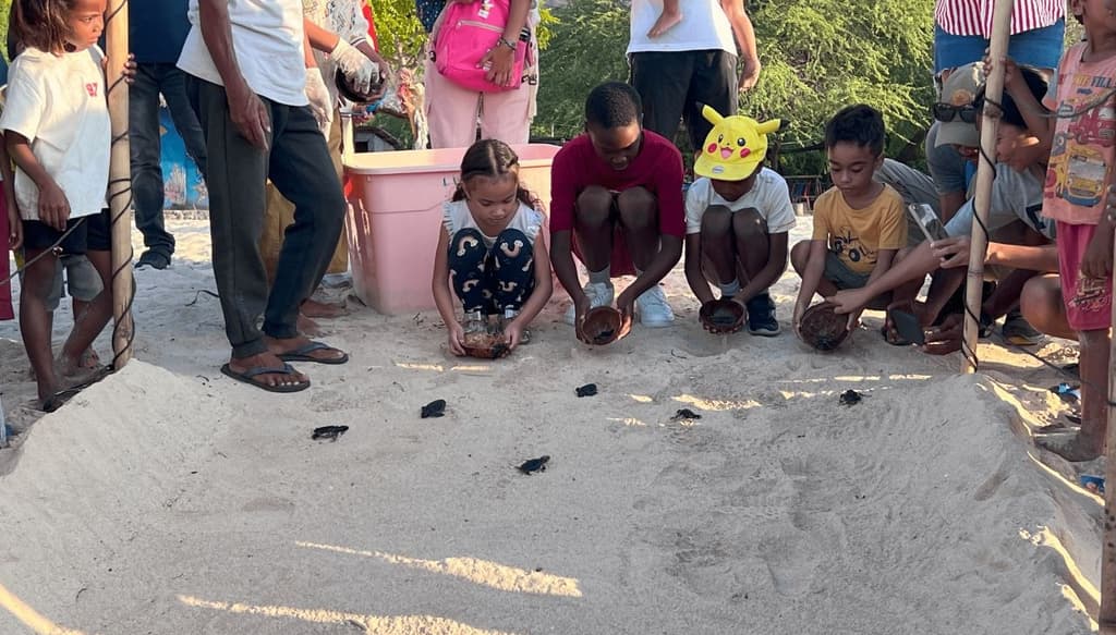 Timor Port renforce son engagement environnemental avec le relâche de 150 Tortues de Mer à Kaitehu!