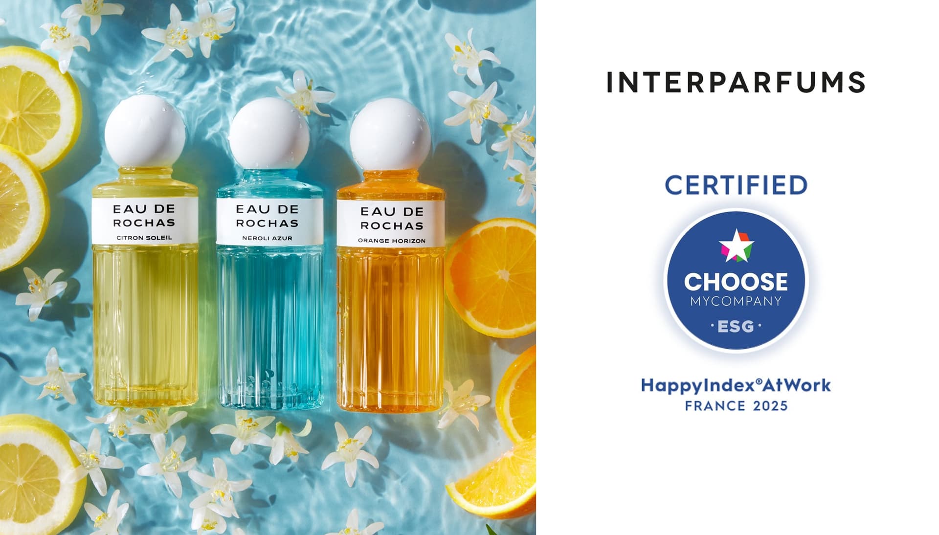 Choosemyconpany