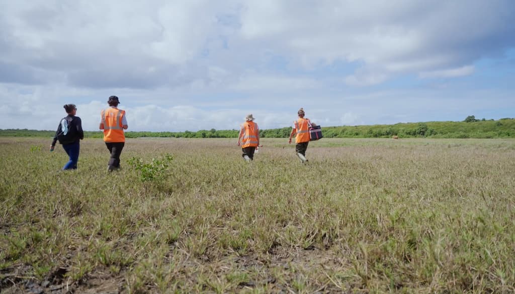 Prélèvement sur site