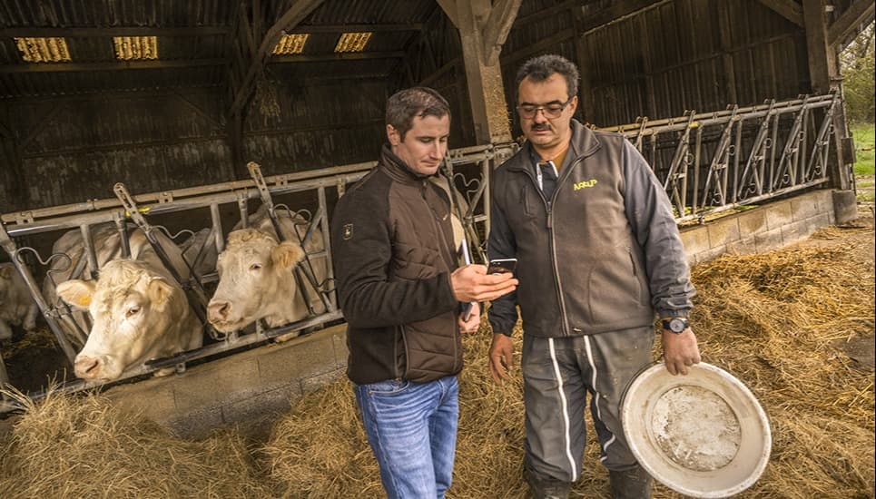 NatUp, coopérative au service des éleveurs