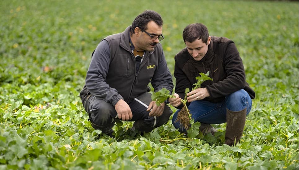 NatUp, coopérative au service des agriculteurs