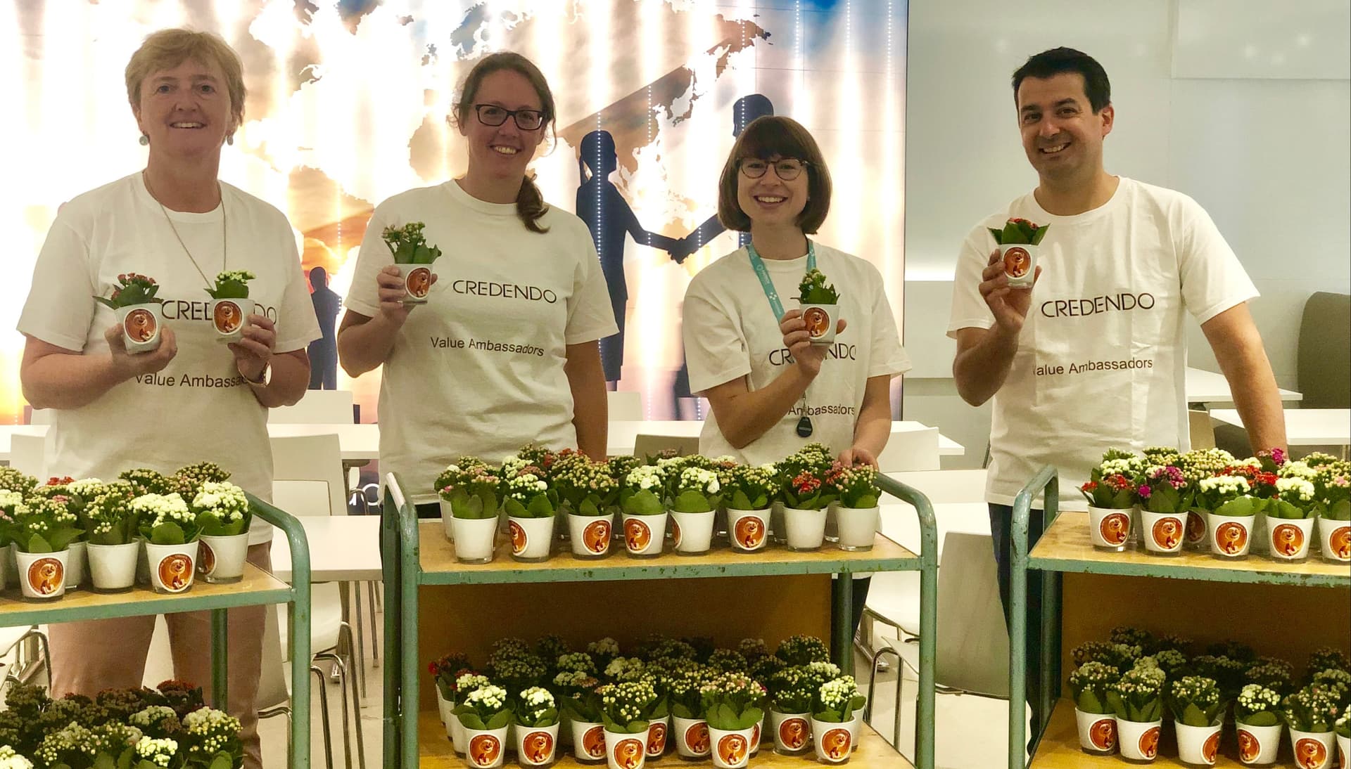 Values ambassadors