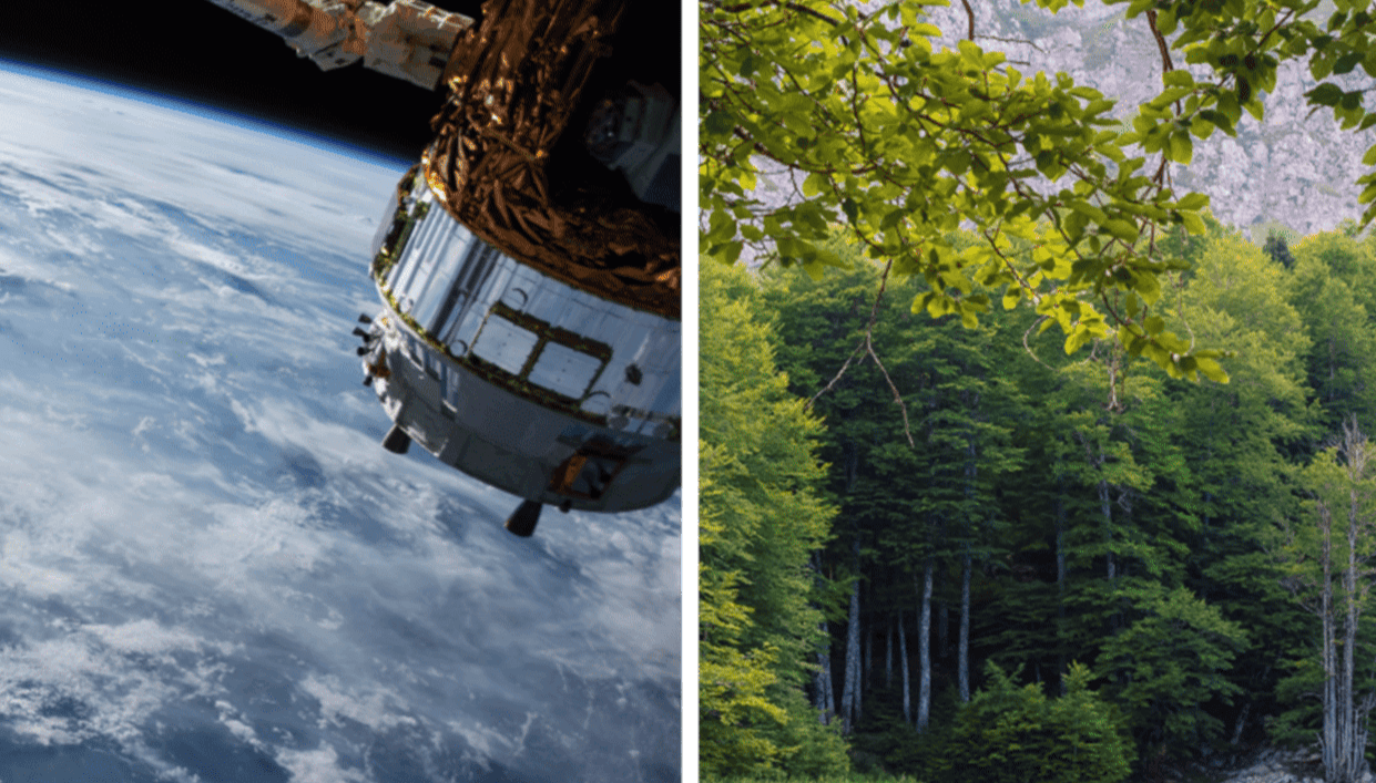 Spatial, Environnement & Développement Durable