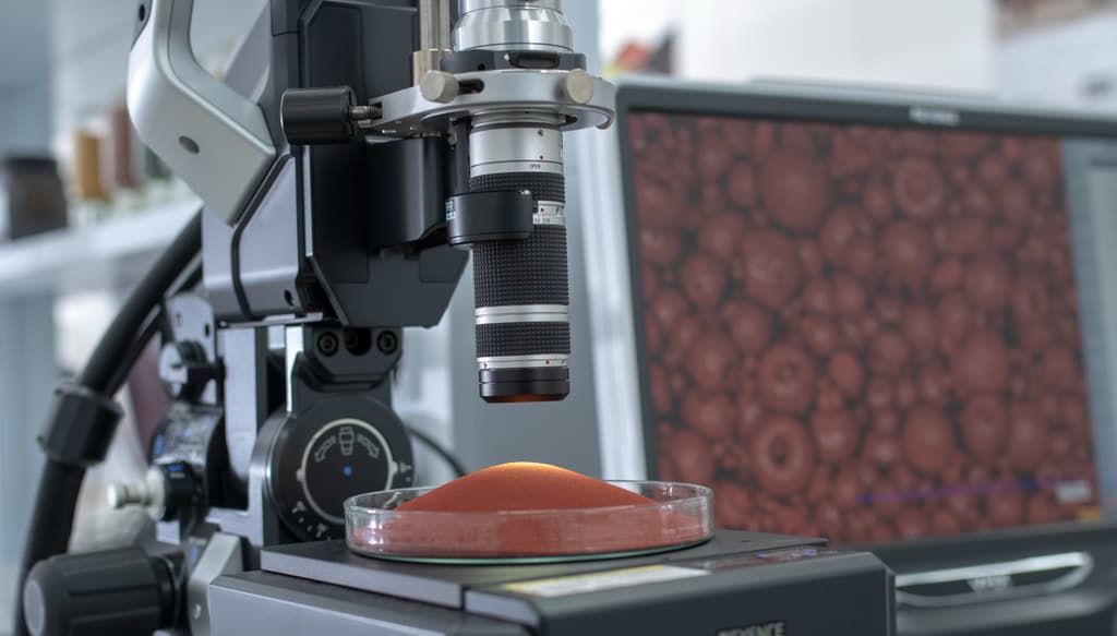 Technical Service for Coloration with pigments