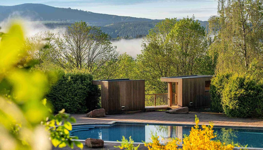 PIscine et montagne, Nutchel Alsace.