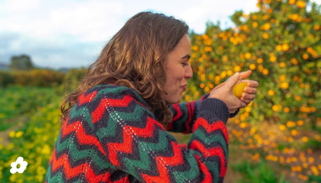 On crapahute aux 4 coins de l'Europe pour dénicher les meilleurs fruits !