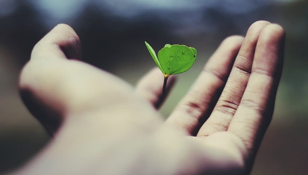 Green impact
