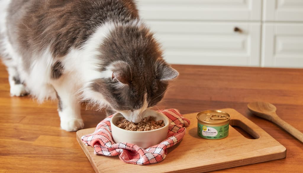 Shooting mousse