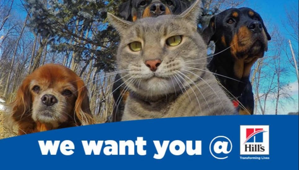 We want you @ Hill's !