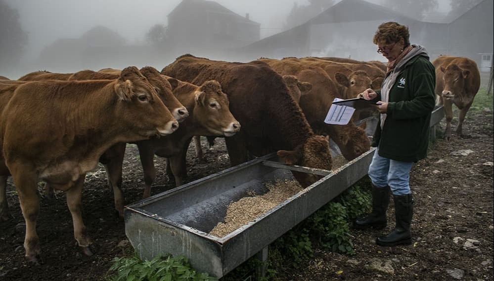 Contrôleur agricole
