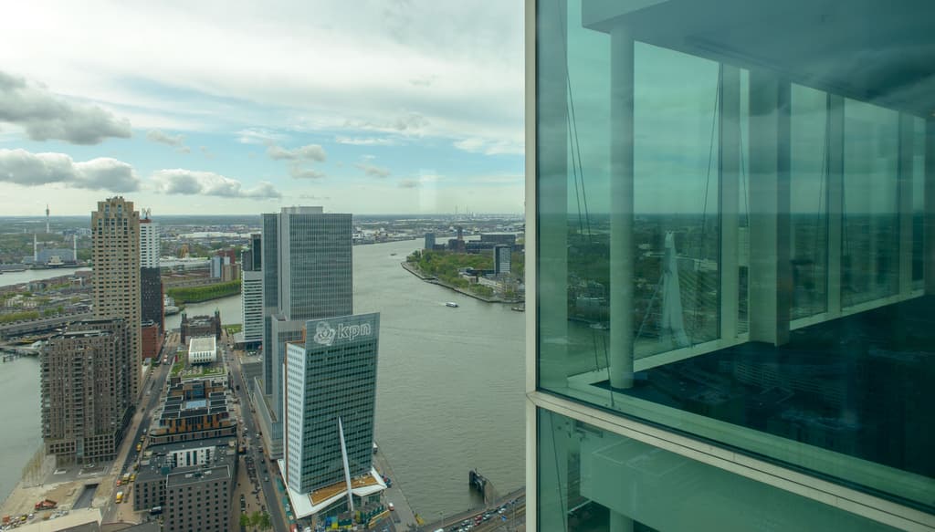 View from our offices
