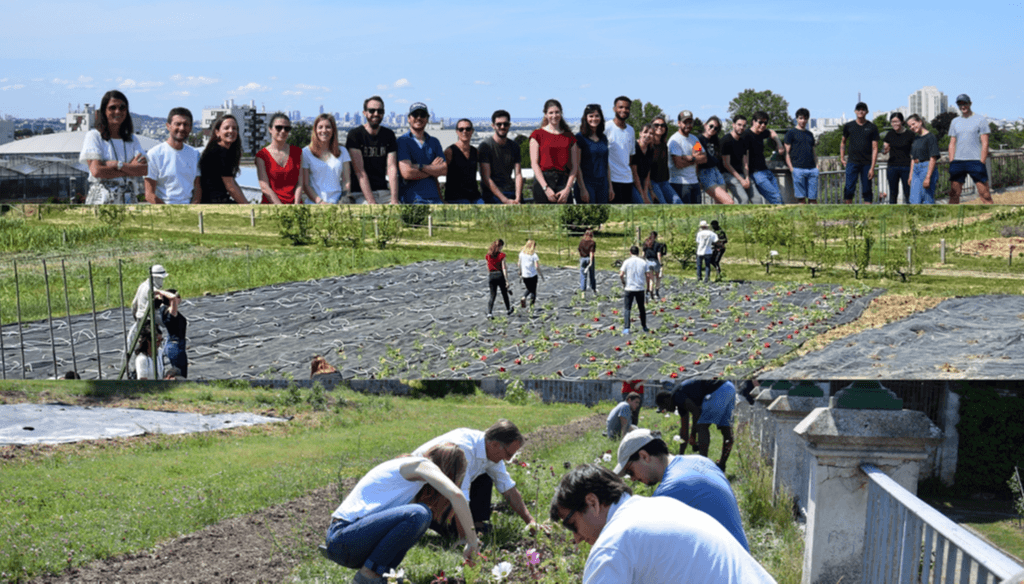 Team Day : chaque année, au mois de mai !
Merci aux Apprentis d’Auteuil de nous avoir permis d’effectuer notre Team Day avec les jeunes.